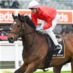 best bet saturday